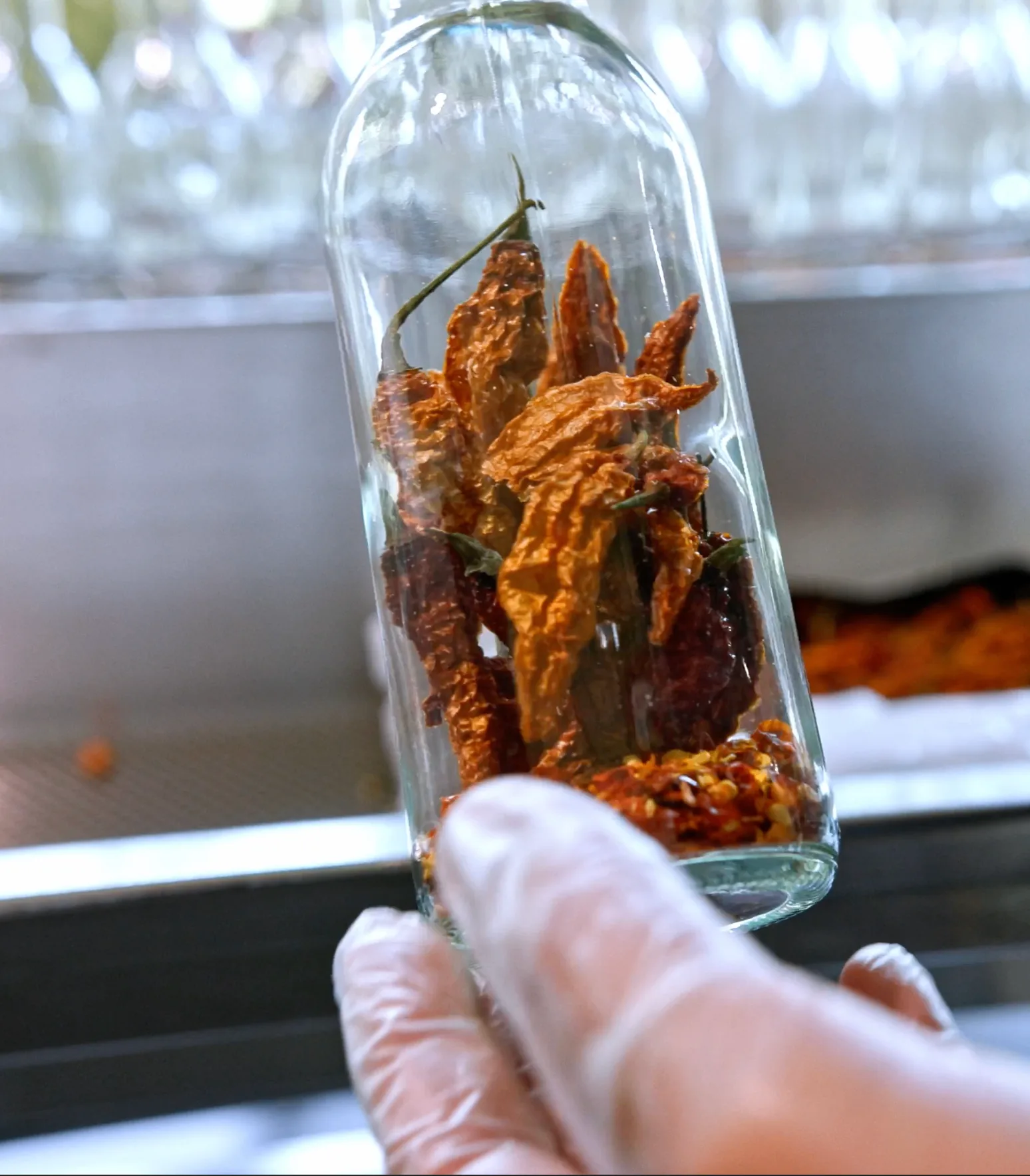 Peppers being placed into a bottle of Madmax by hand